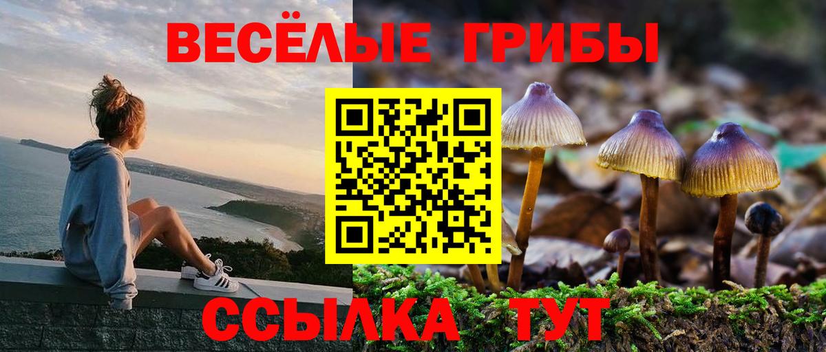 Псилоцибиновые грибы MAGIC MUSHROOMS  Вход с VPN  купить   Галлюциногенные грибы Psilocybe  Омск 