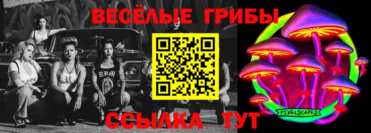 Псилоцибиновые грибы Psilocybine cubensis Омск